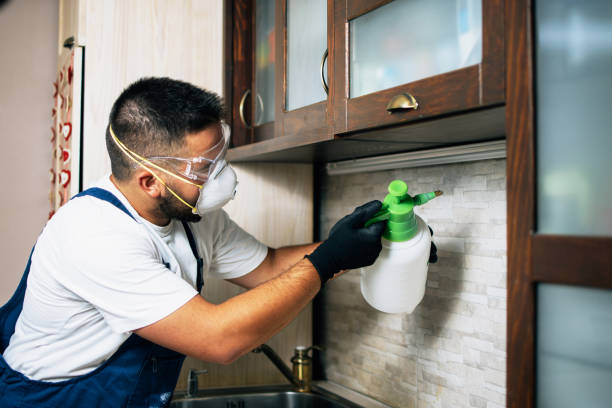 Best Residential Pest Control  in Hollister, MO