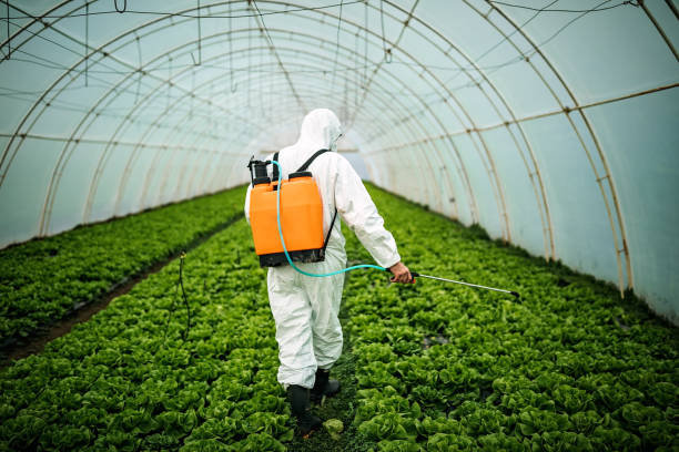 Pest Prevention Services in Hollister, MO