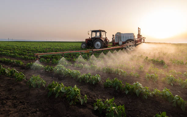 Best Best Pest Control Companies  in Hollister, MO