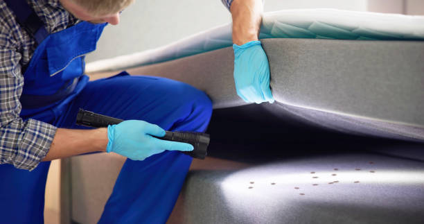 Best Exterminator Services  in Hollister, MO
