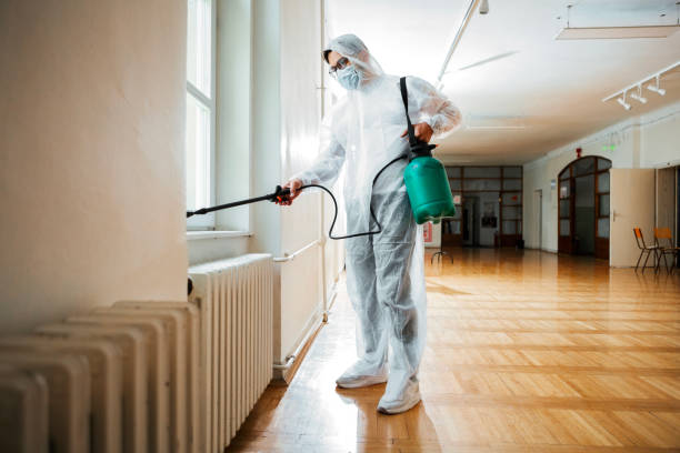 Professional Pest Control in Hollister, MO