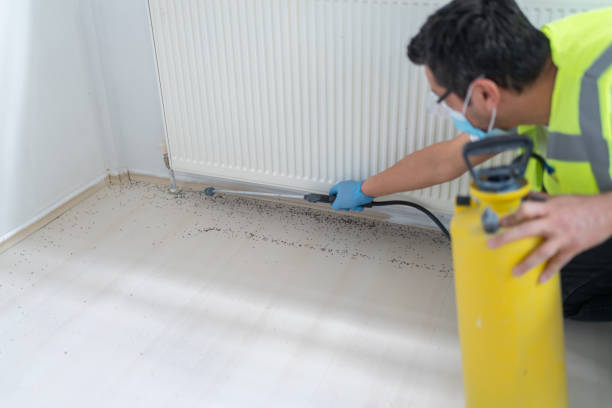 Best Pest Control for Restaurants  in Hollister, MO
